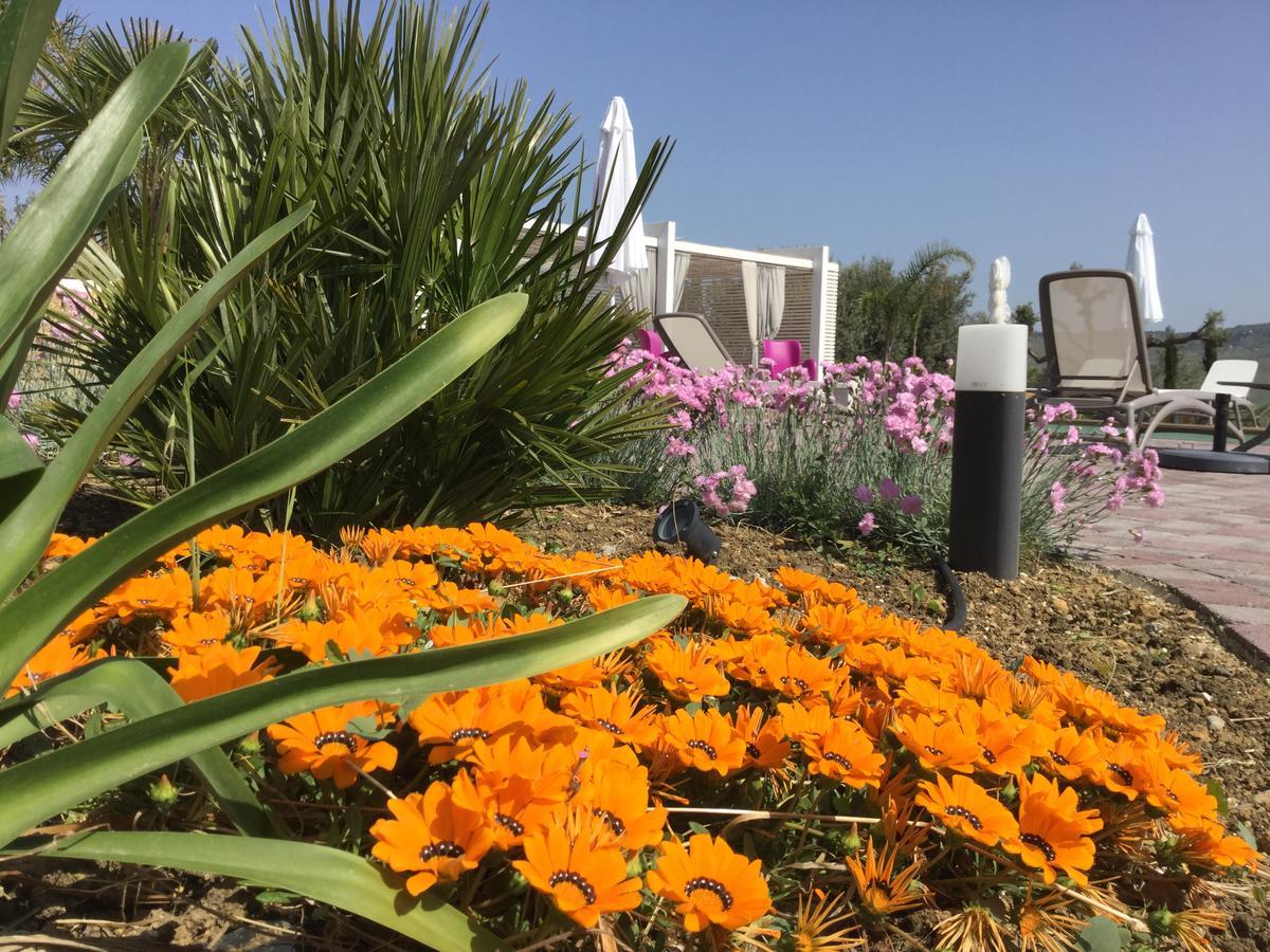 Il Colle Del Rustico Bed & Breakfast Agrigento Bagian luar foto