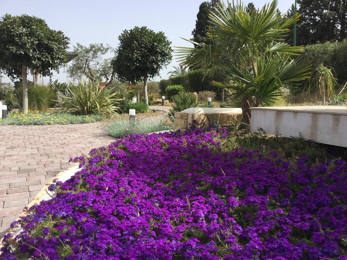 Il Colle Del Rustico Bed & Breakfast Agrigento Bagian luar foto